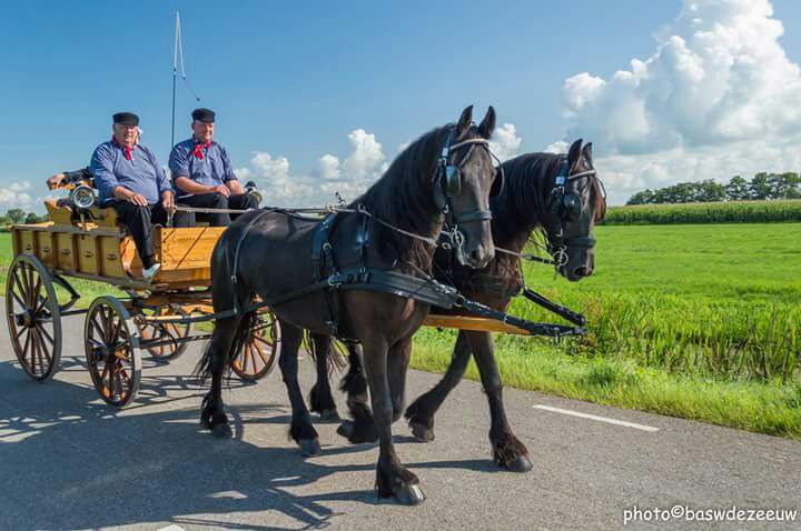 Lees meer over het artikel Voorjaarsrit