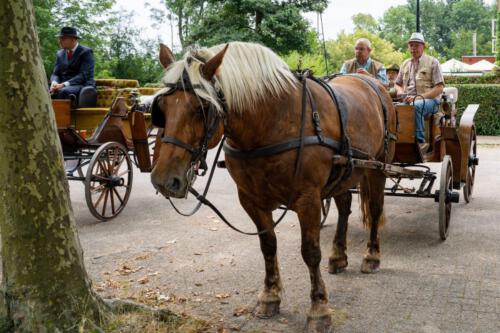 Herman de Man rit (31)