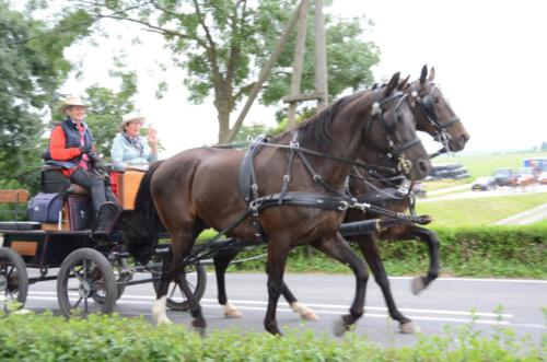 Herman de Man rit (97)